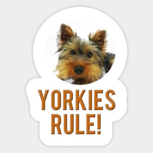 Yorkies Rule! Sticker